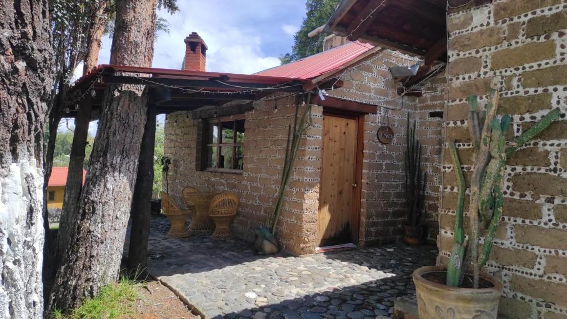 Cabanas Los Cactus Сан-Мигель-Регла Экстерьер фото